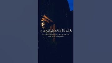 "سورة المؤمنون القرآن الكريم" أرح قلبك #allah #quran #قرآن #القرآن_الكريم #سورة_المؤمنون #allah