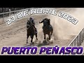 Carreras de Caballos en Puerto Peñasco 23 de Abril 2023