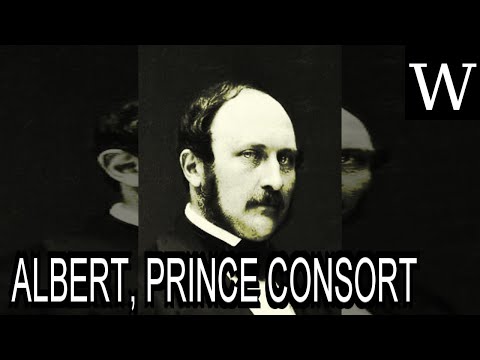 Video: Princ Albert II Čistá hodnota: Wiki, ženatý, rodina, svadba, plat, súrodenci