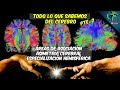 TODO LO QUE SABEMOS HASTA HOY DEL CEREBRO PARTE 2 | Áreas de asociación, asimetría y especialización