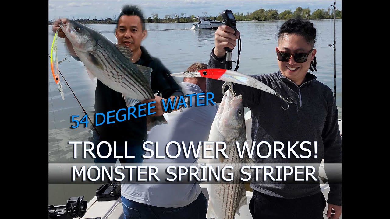 Trolling for Delta Stripers in the Spring again 2024 