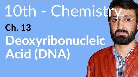 Class 10 Chemistry Chapter 5 - Dexoyribonucleic Acid (DNA) - 10th Class Chemistry Chapter 13
