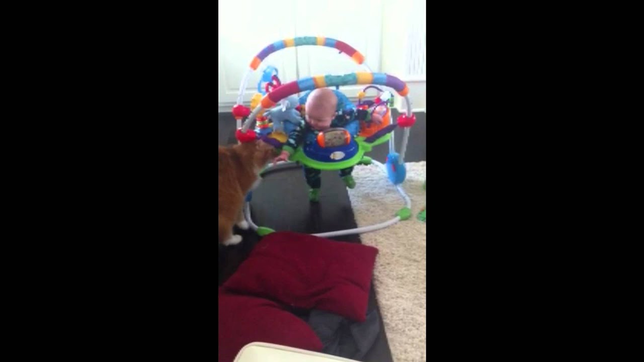 Cat VS Baby, Round 1