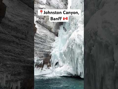 جادوی زمستانی در دره جانستون بنف شورت بنف دره جانستون زمستان طبیعت سفر