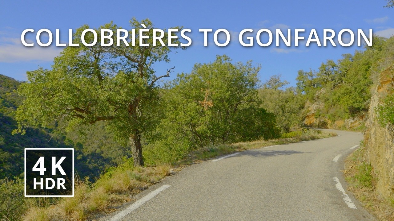🇫🇷 Sunny Drive through Beautiful Southern France, from Collobrières to Gonfaron on D39