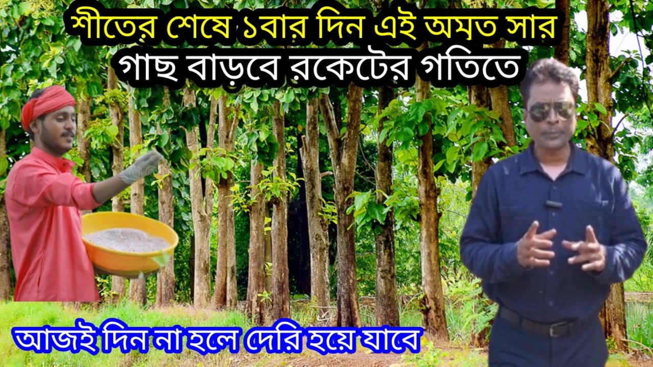শীতের শেষে ১বার দিন, গাছ বাড়বে রকেটের মতো Tree Farming #tree #farming #gardening 
