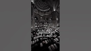 إن الصلاة تنهى عن الفحشاء والمنكر | حالات واتس اب قرآن كريم | ليطمئن قلبك 🌼💛 | ستوريات انستا دينية