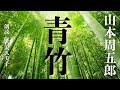 【朗読】山本周五郎「青竹」