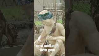 Sandw Baodiya Serja Hunai