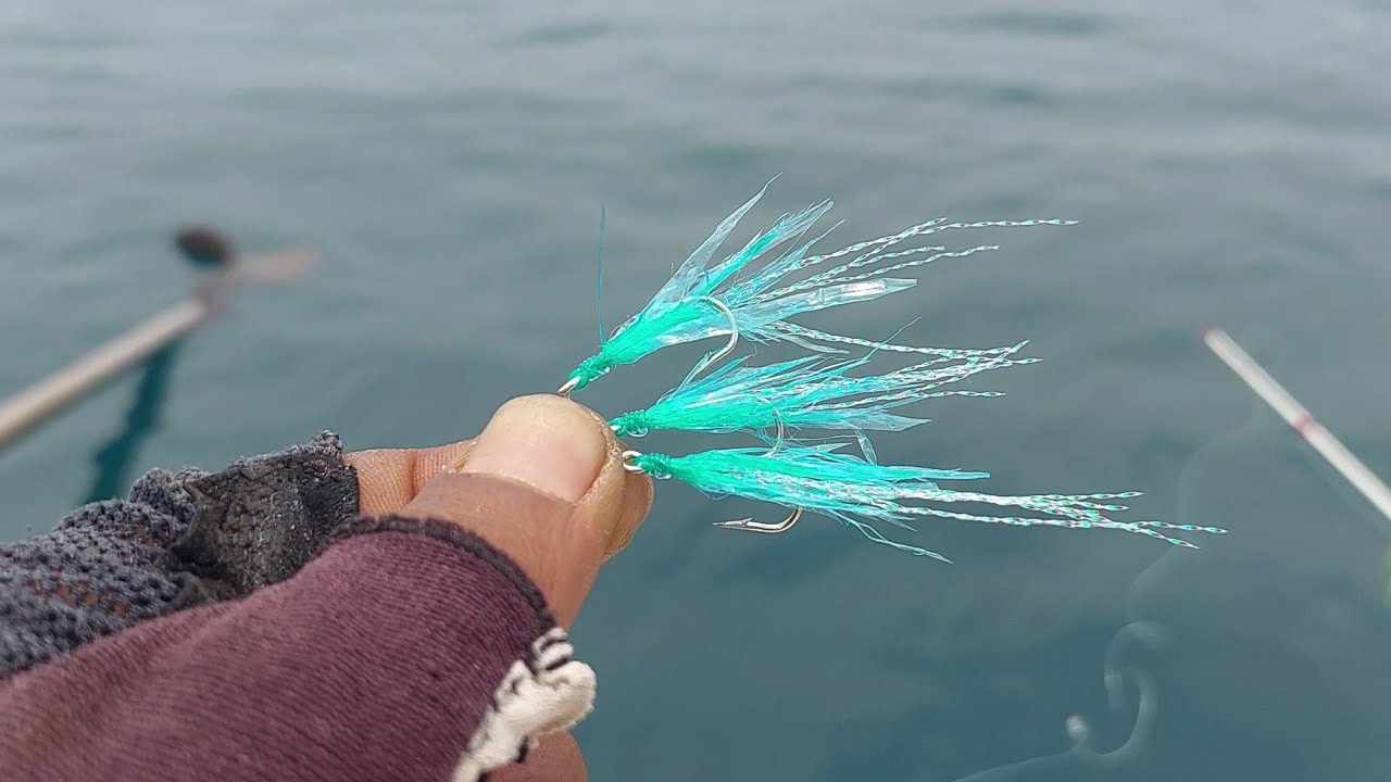 NO DEBAT !!! INI UMPAN MURAH DAN AMIS !!!LIHAT SENDIRI HASILNYA 🤩🤩🤩