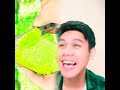 Pov Fyp Funny Duet Storytime Acting Viral Pov Fyp Funny Duet Storytime Acting Viral