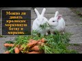 Можно ли давать кроликам морковную ботву