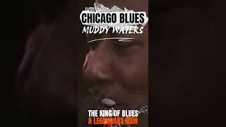 Chicago Blues 🎸 Soulful Electric Guitar   #Shorts #ChicagoBlues #ElectricGuitar