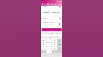 VNPAY e-Wallet Payment Guide with Momo (English)