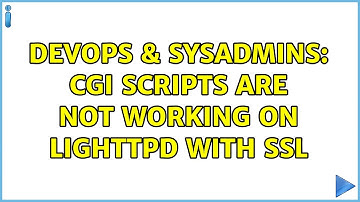 DevOps & SysAdmins: CGI scripts are not working on lighttpd with SSL