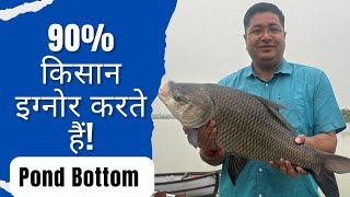 Pond Bottom Area Ignore Kiya To Heavy Loss Fish Farming Truth