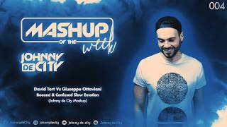 David Tort Vs Giuseppe Ottaviani - Boozed &amp; Confused Slow Emotion (Johnny de City Mashup) #004