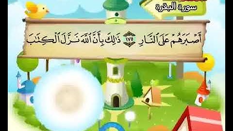 سورة البقرة حفظ من 171 إلى 180 المصحف المعلم المنشاوي