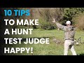 10 tips to make a hunt test judge happy