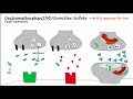 Pseudobulbar Affect (PBA) - Part 2 - Treatment