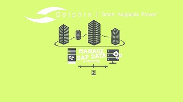 Dolphin Optimizes SAP Data And Process