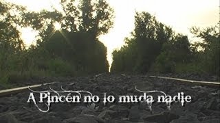 Hoy desde el ayer - A Pincén no lo muda nadie -