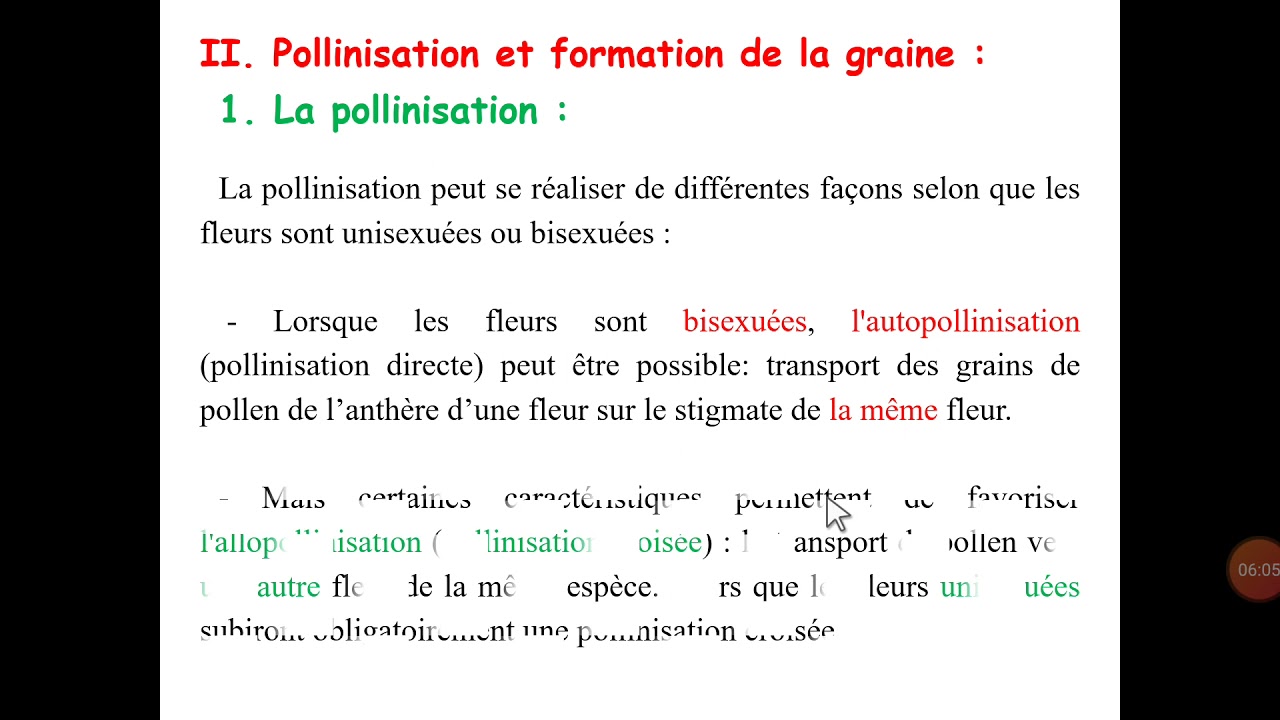Pollinisation et germination du grain des pollen - les angiospermes