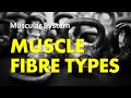 Muscle Fiber Types Quiz