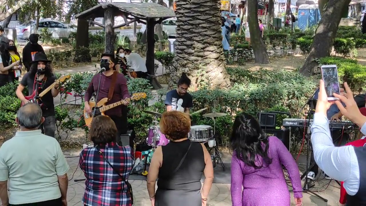 Los Bichos del Sótano-La Casa del Sol Naciente