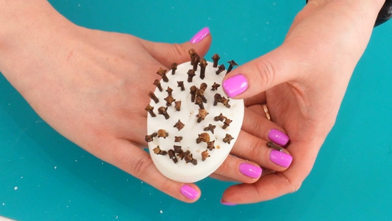 Dites adieu aux insectes de la maison pour moins d'un euro le truc génial