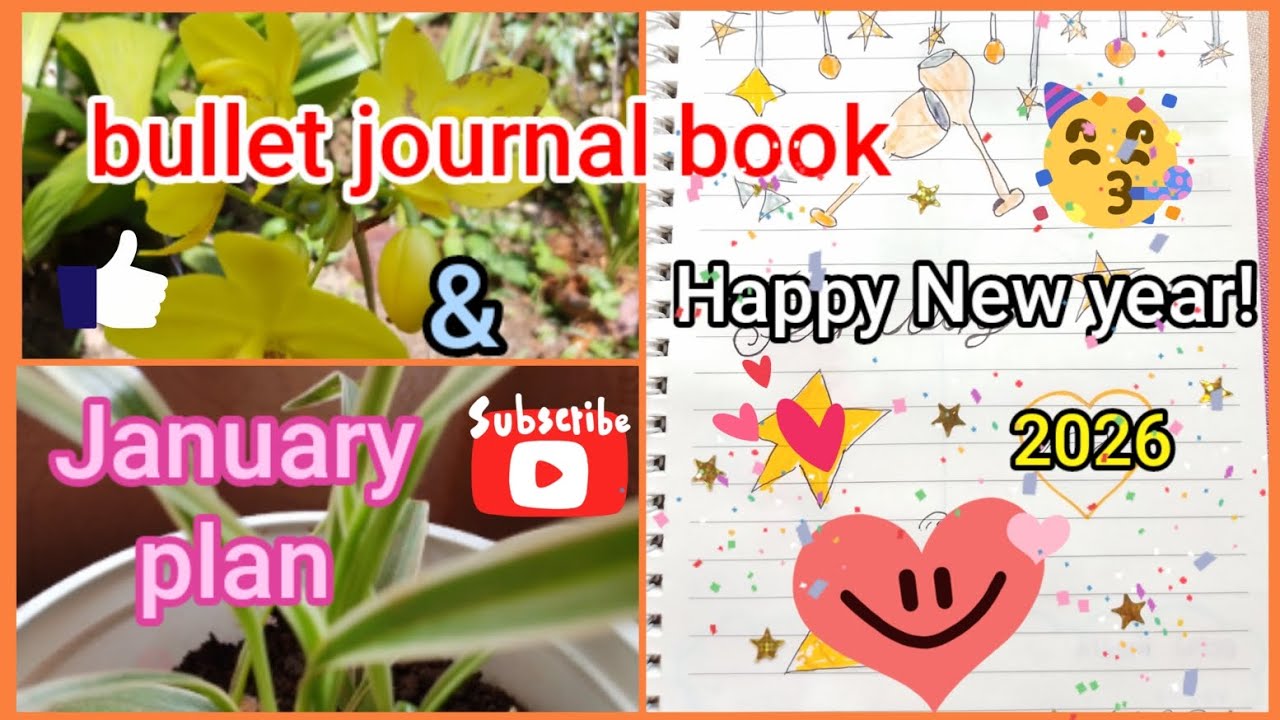 2026 මගේ January plan එක🍒|| Happy New Year!🎇🌷✨️bullet journal monthly plan🧿✨️