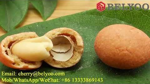 Coated peanut roasting machine|Swing oven/Roasting machine for chocolate coated peanuts