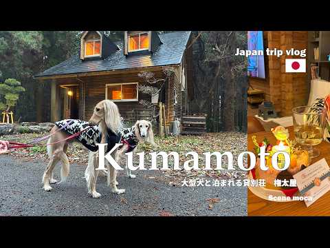 【熊本旅行-犬と一緒に泊まれる貸別荘】No.1 権太屋(2000坪のプライベートドッグラン)　#熊本 #貸別荘#ペット同伴#阿蘇#