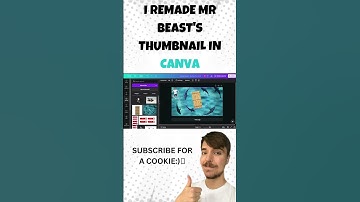 I REMADE MR BEAST