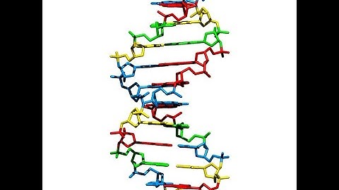 DNA properties: strand polarity, base pairing, Chargaff rule, and melting