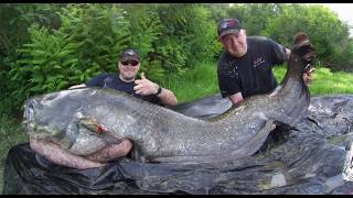 Uni Cat - Wallerangler Und Die Superior Cat Im Kampf Mit 2,47M-Wels