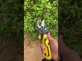 electric scissors easy use save time #tool P7426