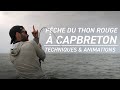 Fiiish - Pêche du thon rouge à Capbreton