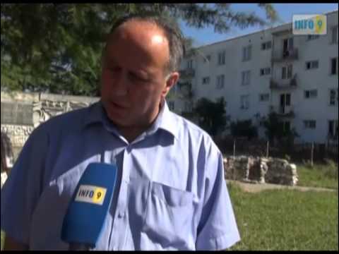 ახალგაზრდულმა ფრთამ ხონში