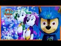 Aqua Pups Solve a Bubble Blunder - PAW Patrol - Toy Play for Kids