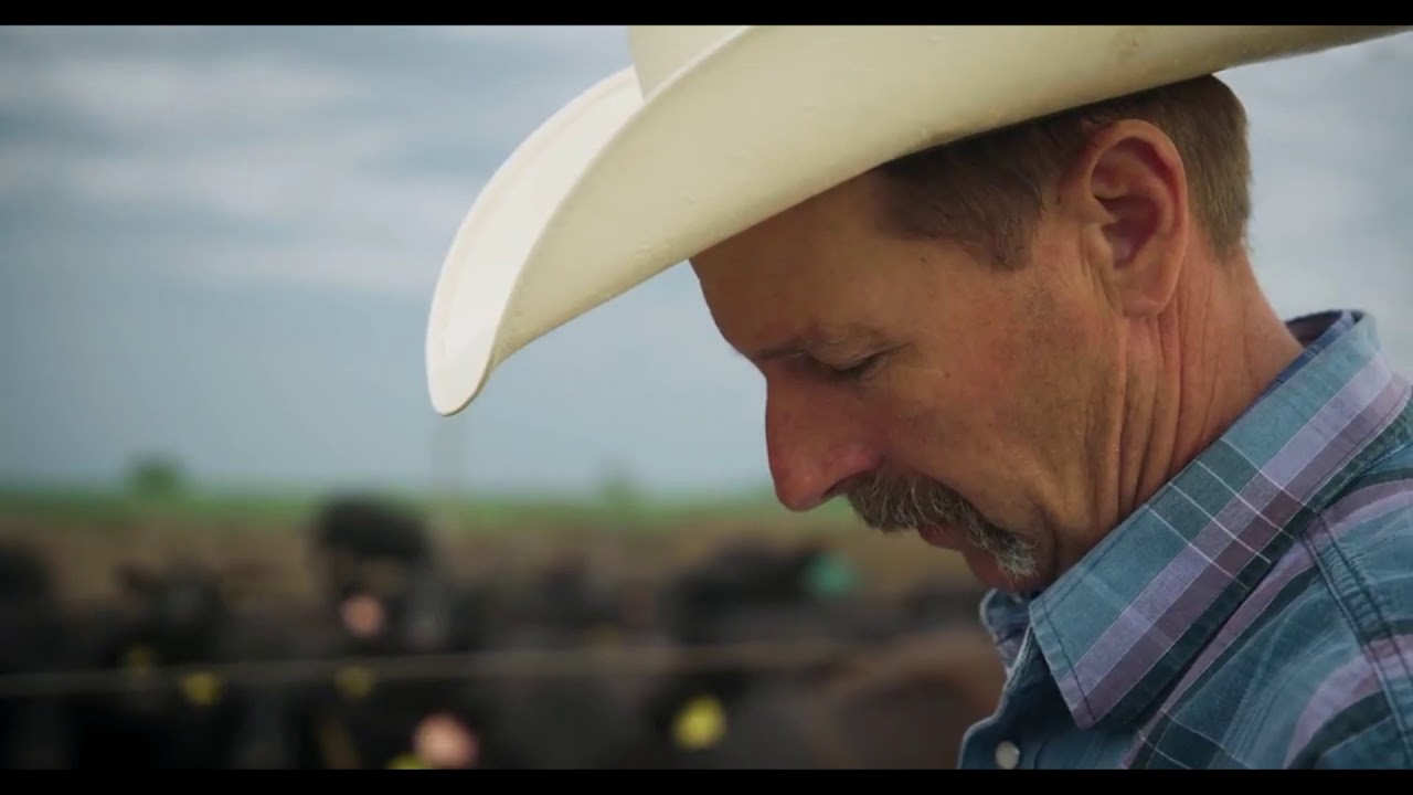 IOWA PREMIUM BEEF YouTube