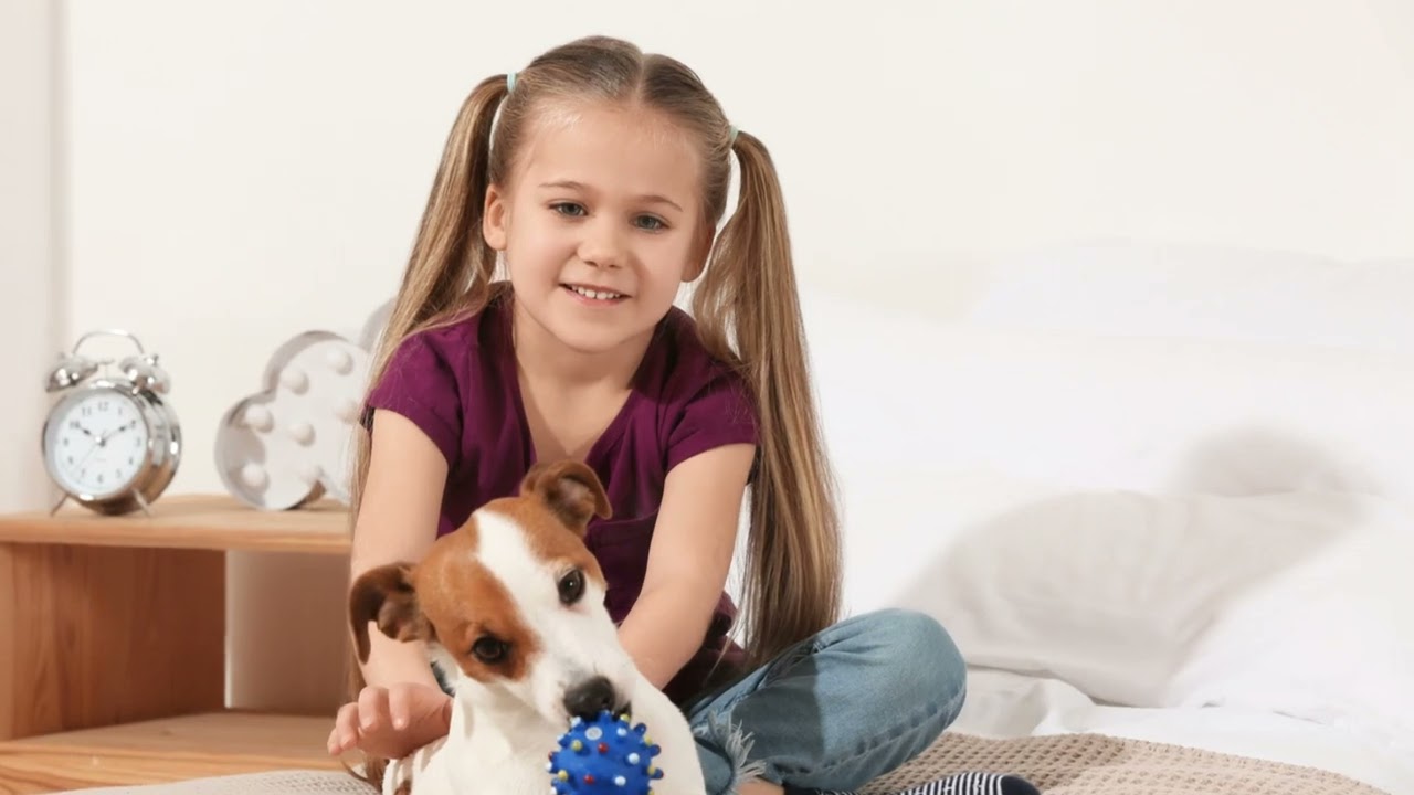 My Pet Matters -- Why Do You Adore Your Pet? Share Your Stories