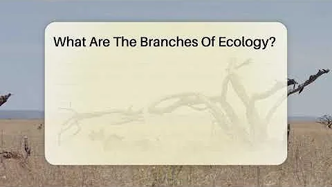 What Are The Branches Of Ecology? - Ecosystem Essentials