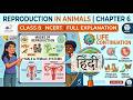 Class 8 Chapter 6 Reproduction in Animals