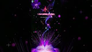 Little ButterFly DJ 超High版TIMI 全网最火DJ舞曲