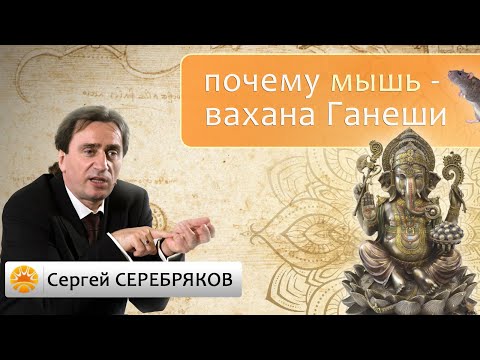 Почему мышь - вахана Ганеши? Сергей Серебряков