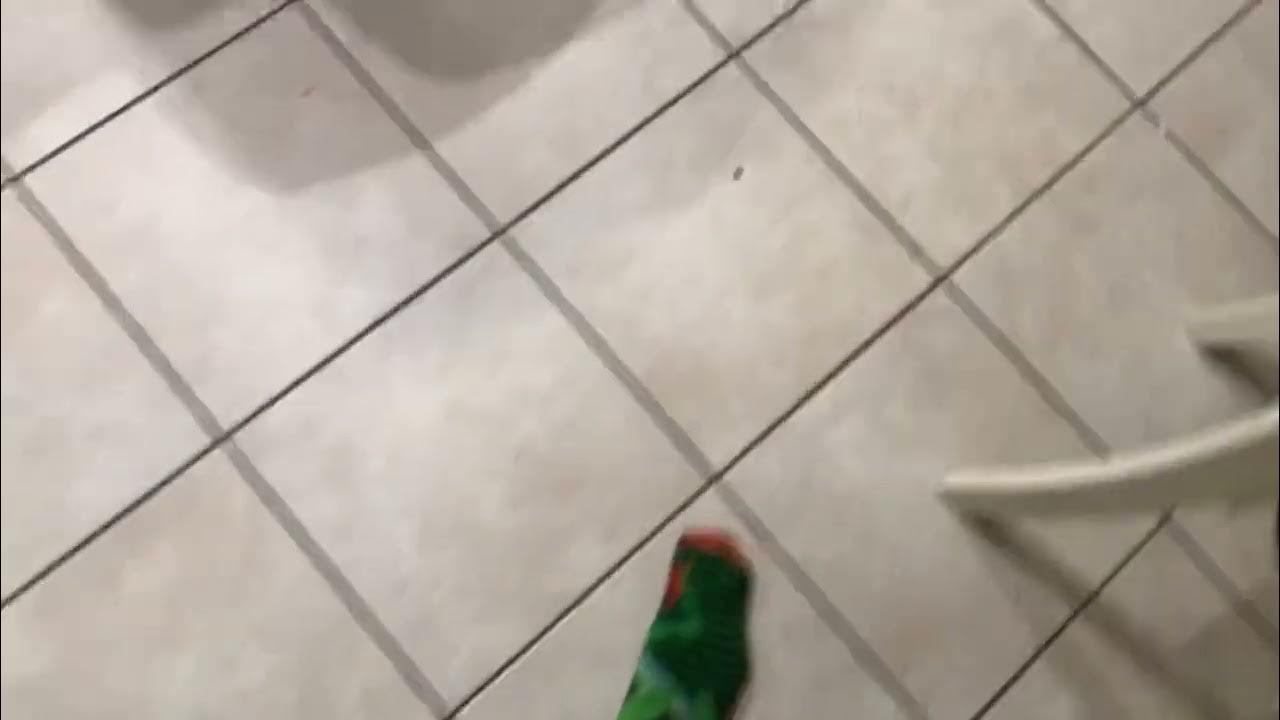 tv sohu com &&&&&&&&&&&&&&&&&&&&&&&&&&&&&&&&&&&&&&&&&&&&&&&&&& YouTube