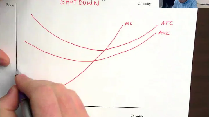 AP Micro Review - Loss Minimization & Shutdown