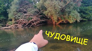 видео: ИЗВАДИХМЕ ГИГАНСТКА РИБА с ЛАЙТ ВЪДИЦА - Пробвах нов МЕТОД за РИБОЛОВ ( BOLOGNESE FISHING on RIVER ) картинка: ИЗВАДИХМЕ ГИГАНСТКА РИБА с ЛАЙТ ВЪДИЦА - Пробвах нов МЕТОД за РИБОЛОВ ( BOLOGNESE FISHING on RIVER )