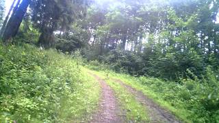 Eifel Tour Nabij Daun